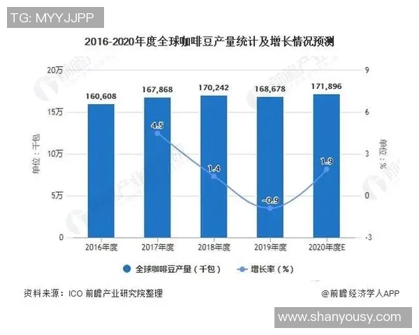 武汉羽毛球队近期状态深度对比及未来发展趋势分析