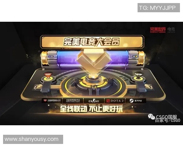 武汉网球队运营革新探索：提升竞技水平与商业价值的双重路径