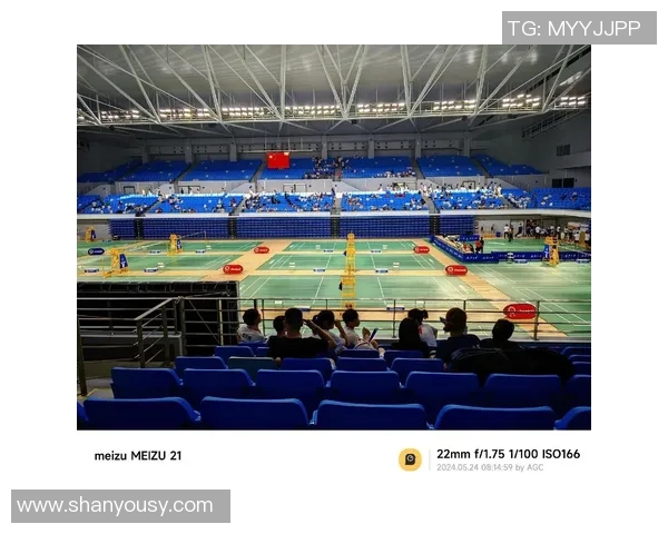 武汉羽毛球队在杯赛中的实力展现与战术分析