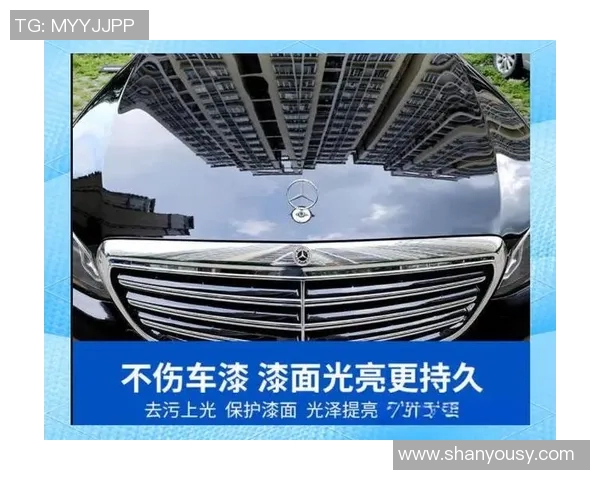 刘芳独家分享网球心得与技巧助你提升球技的全面指南