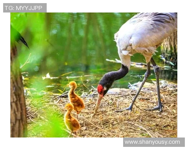 广州足球队崛起之路全国锦标赛特别报道见证成长与辉煌 广州足球队崛起之路全国锦标赛特别报道见证成长与辉煌