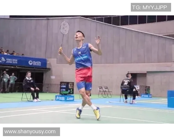 深入分析杭州羽毛球队控制打法的战术特点与应用策略