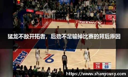 DG视讯