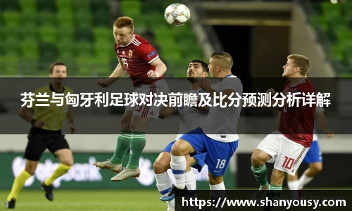 芬兰与匈牙利足球对决前瞻及比分预测分析详解
